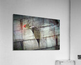Bird Photography    Acrylic Print