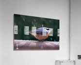 Bird Photography    Acrylic Print