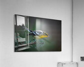 Bird Photography    Acrylic Print