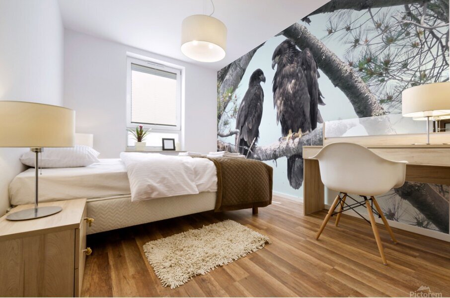 Bird Photography  Mural print