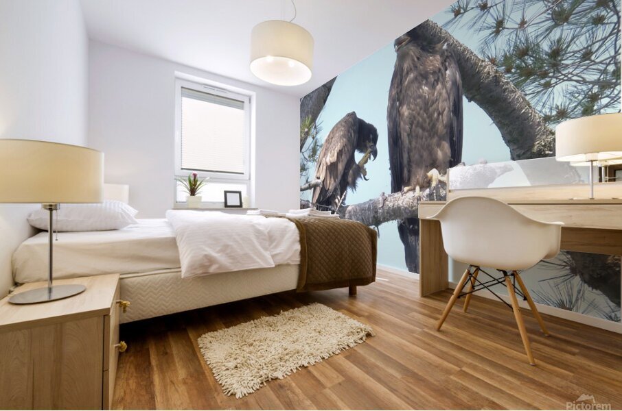 Bird Photography  Mural print