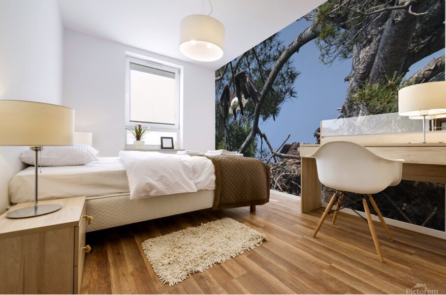 Bird Photography  Mural print