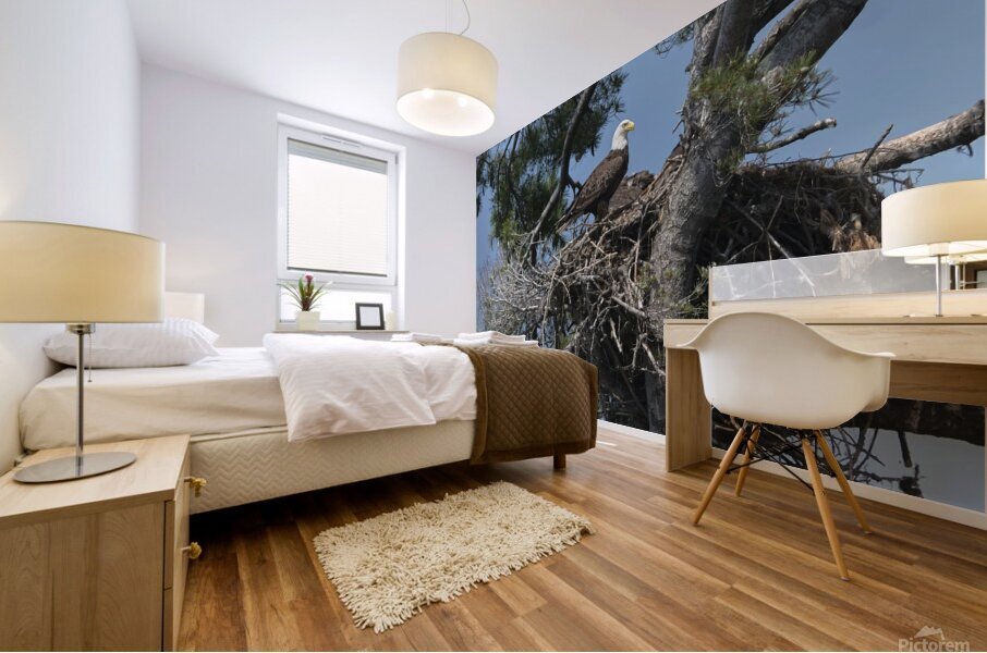 Bird Photography  Mural print
