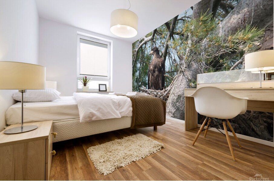 Bird Photography  Mural print