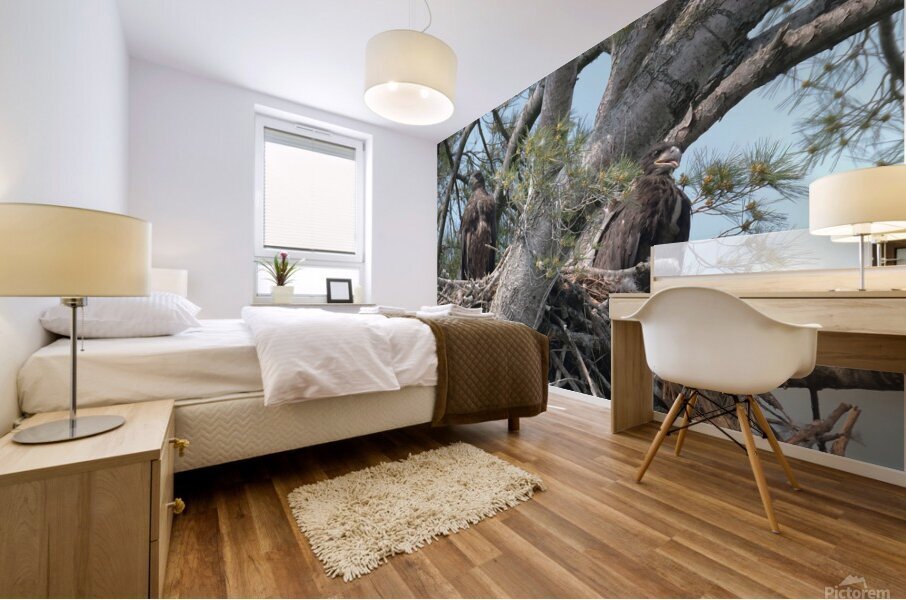 Bird Photography  Mural print