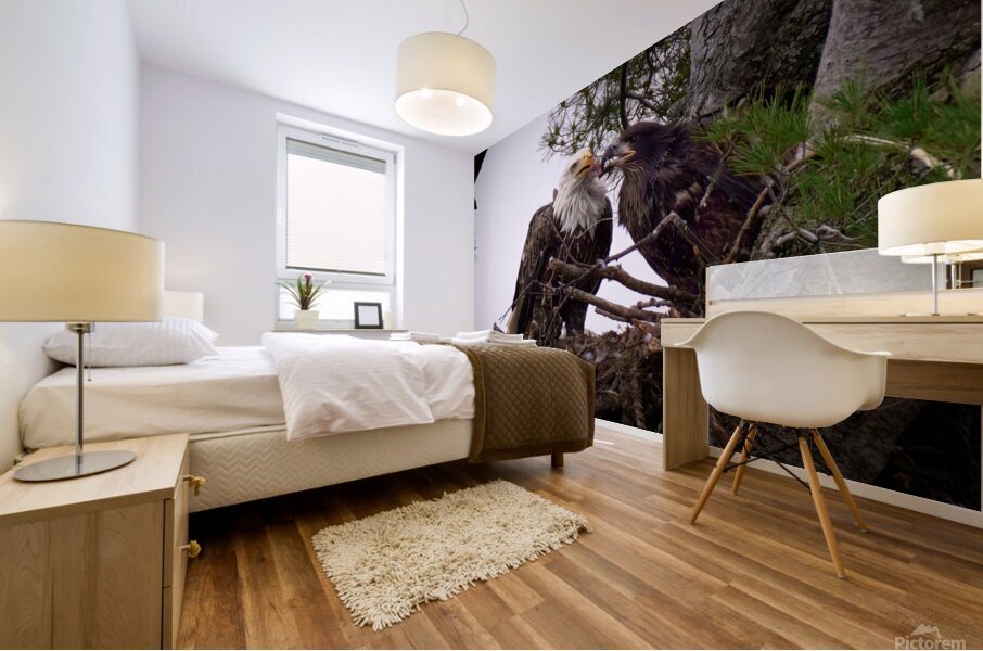 Bird Photography  Mural print