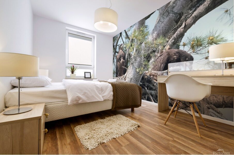Bird Photography  Mural print