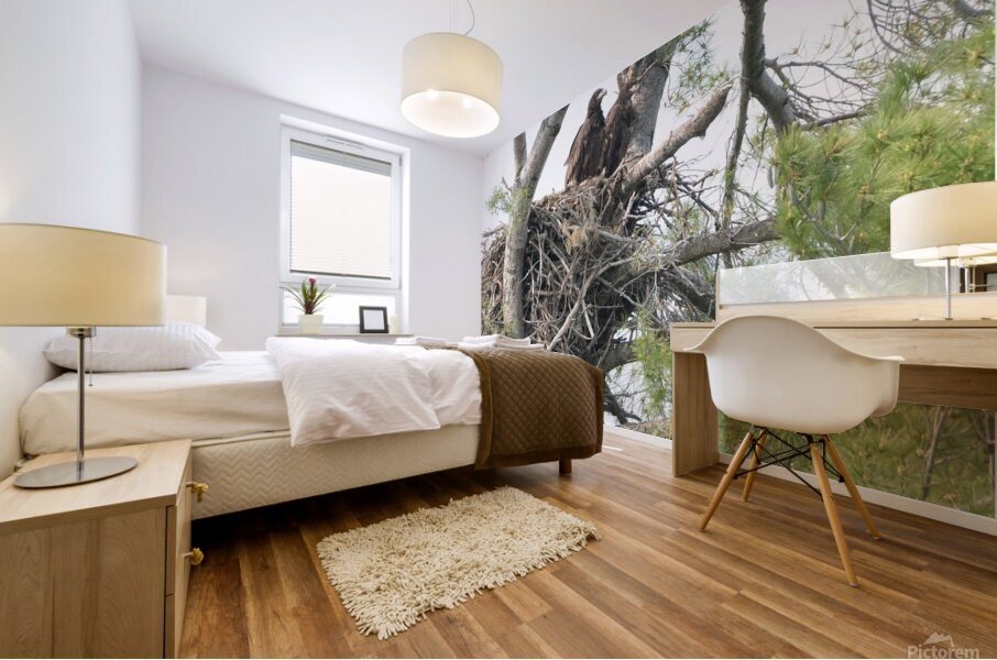 Bird Photography  Mural print