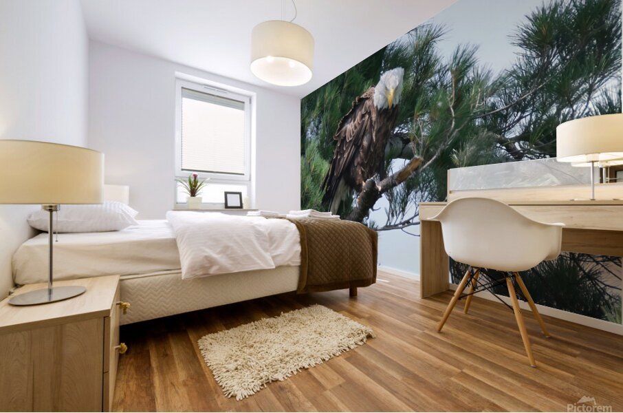 Bird Photography  Mural print