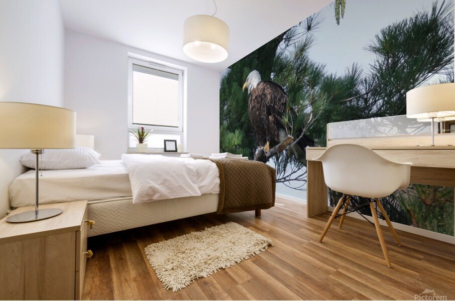 Bird Photography  Mural print