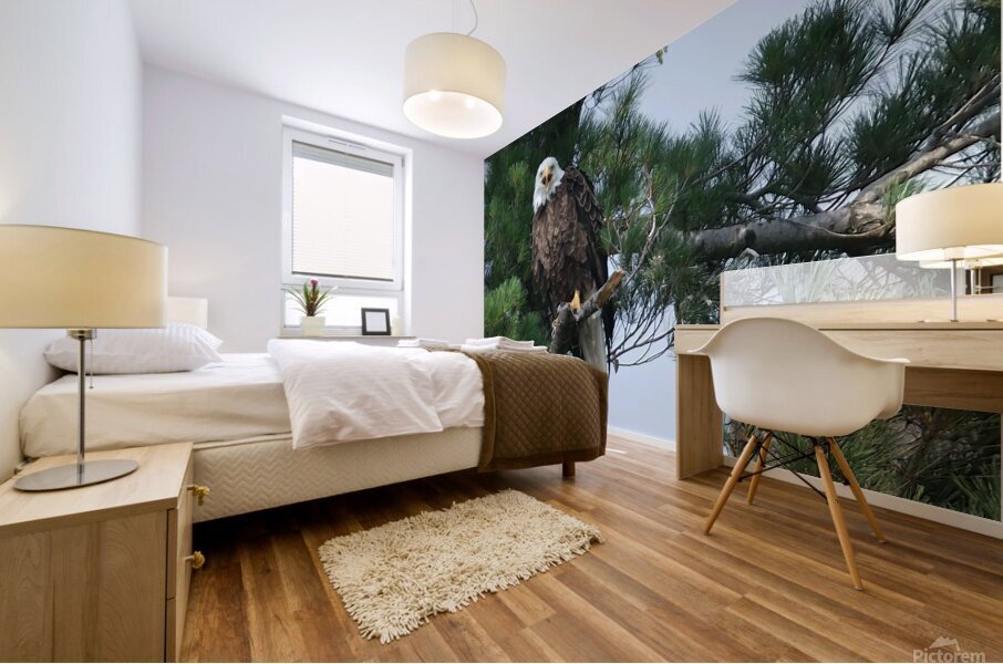Bird Photography  Mural print