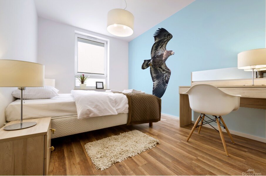 Bird Photography  Mural print