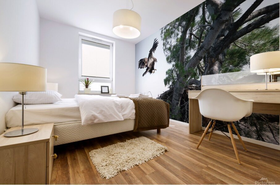 Bird Photography  Mural print