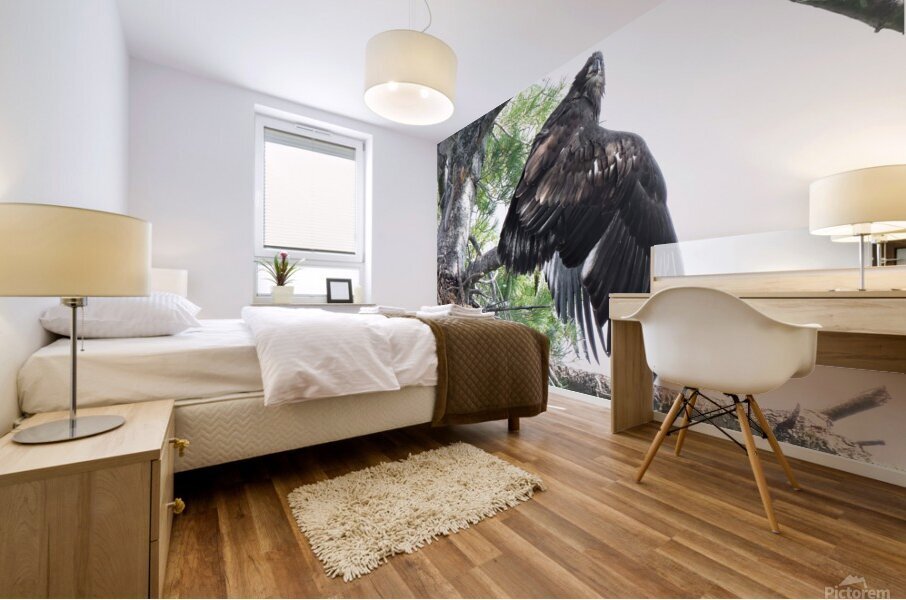 Bird Photography  Mural print
