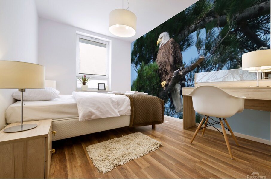 Bird Photography  Mural print