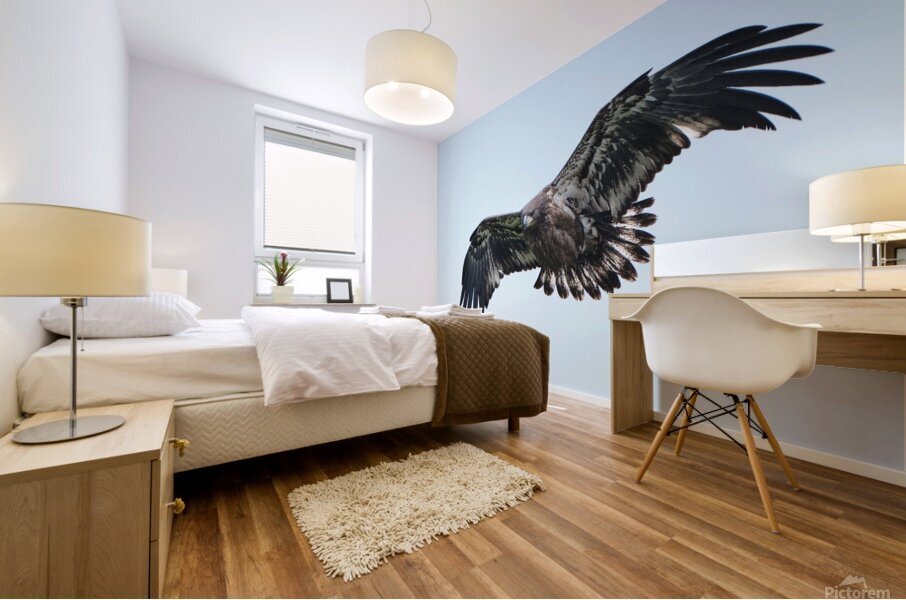 Bird Photography  Mural print