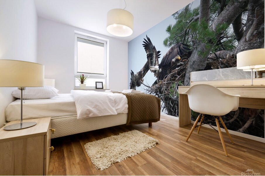 Bird Photography  Mural print