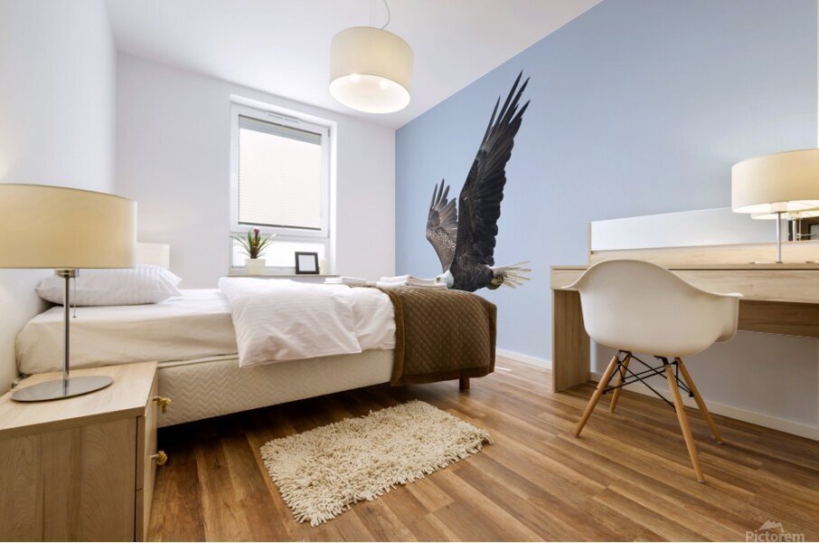 Bird Photography  Mural print