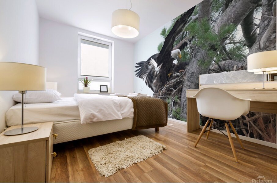 Bird Photography  Mural print