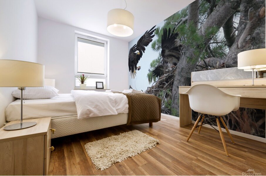 Bird Photography  Mural print