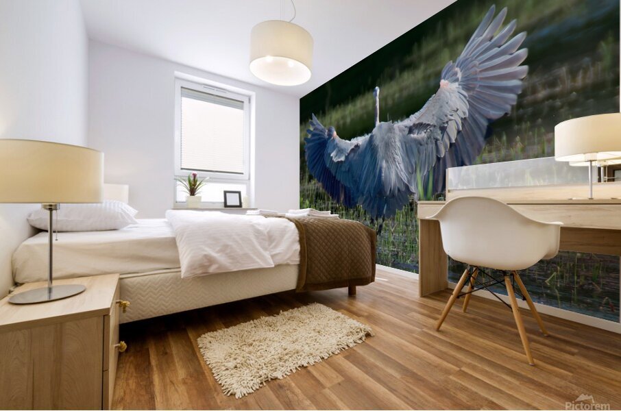 Bird Photography  Mural print