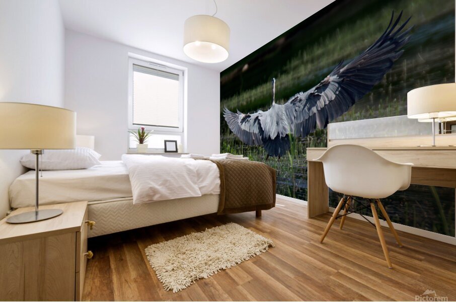 Bird Photography  Mural print