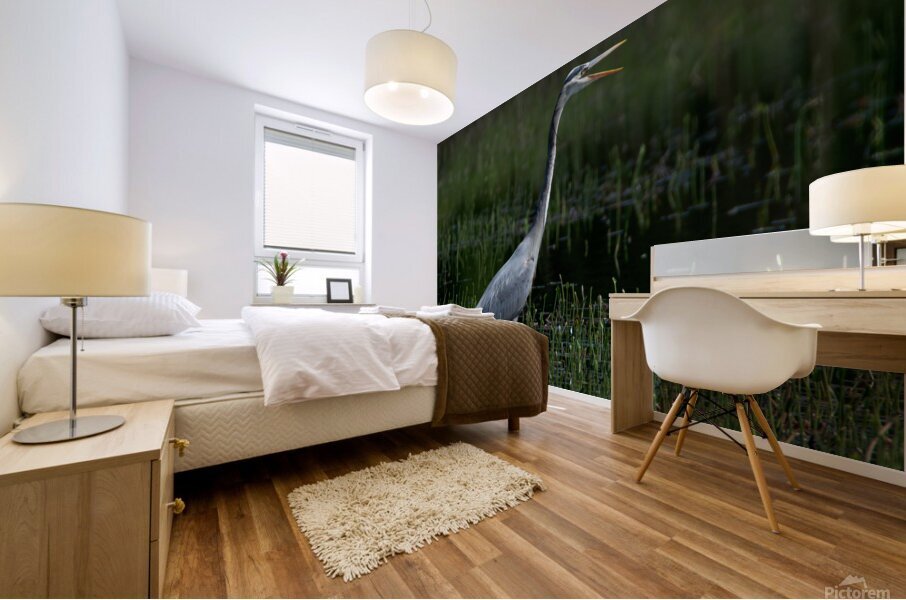 Bird Photography  Mural print