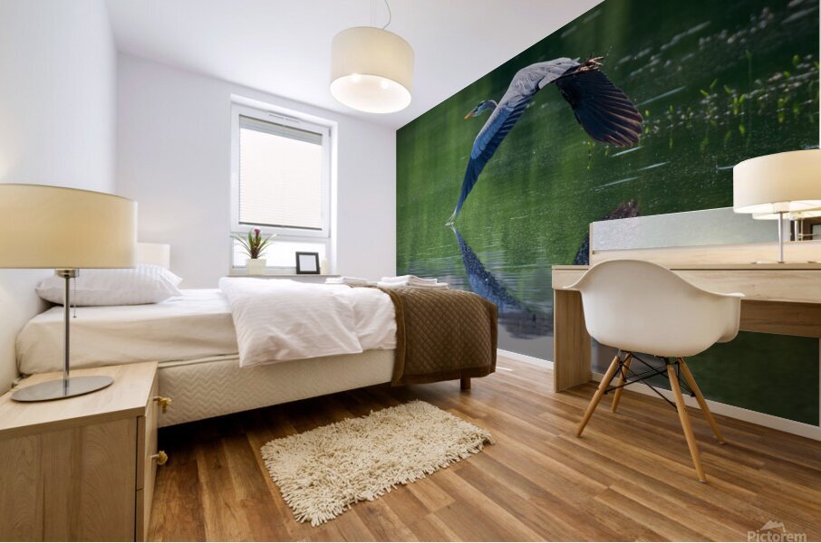 Bird Photography  Mural print