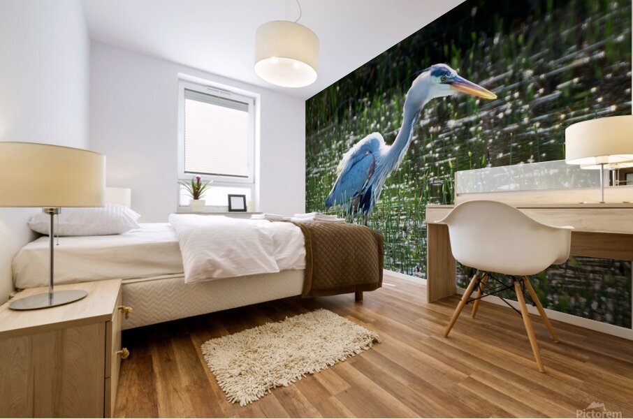 Bird Photography  Mural print
