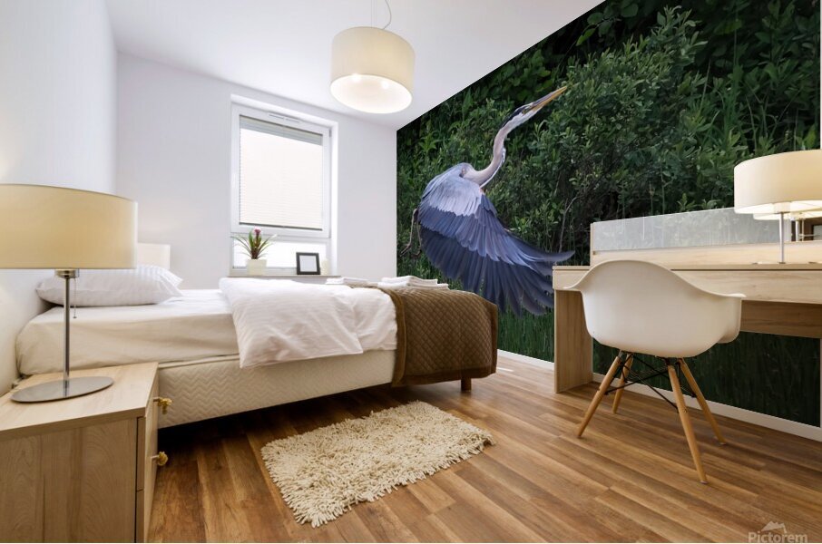 Bird Photography  Mural print