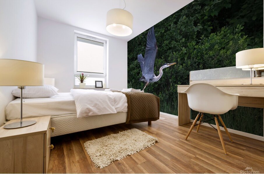 Bird Photography  Mural print