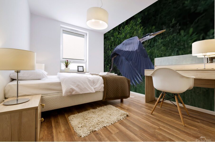 Bird Photography  Mural print