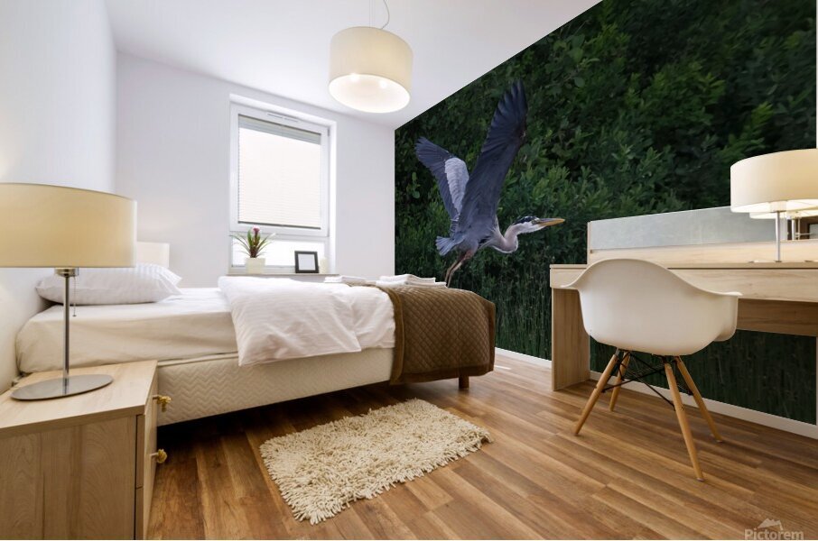 Bird Photography  Mural print