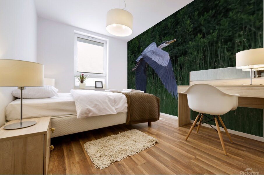 Bird Photography    Mural print