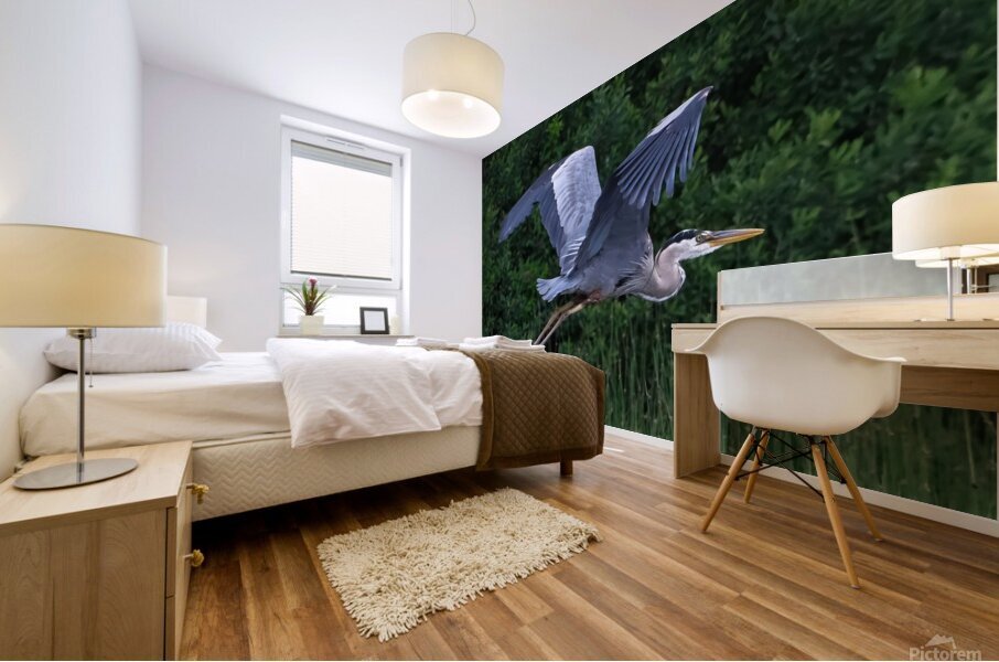 Bird Photography    Mural print