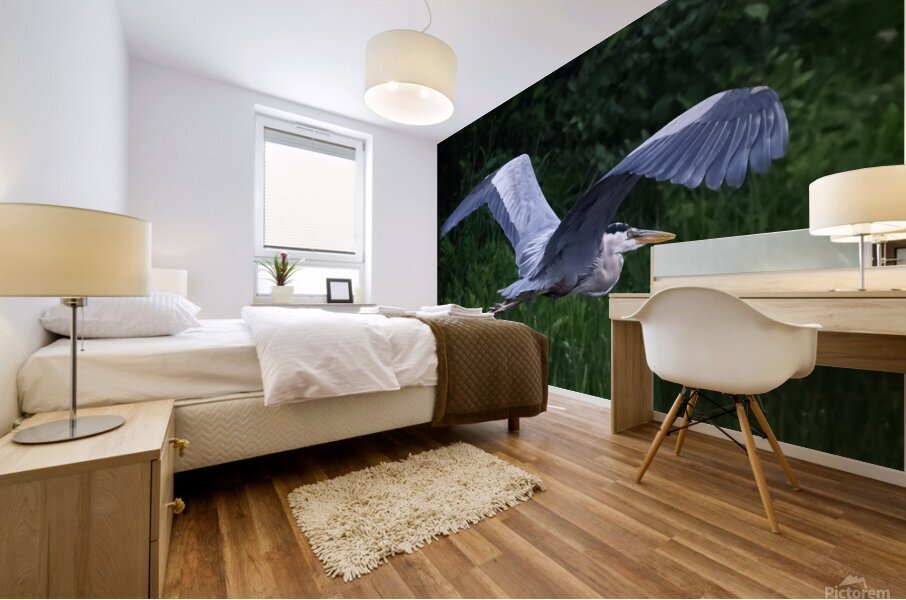 Bird Photography    Mural print