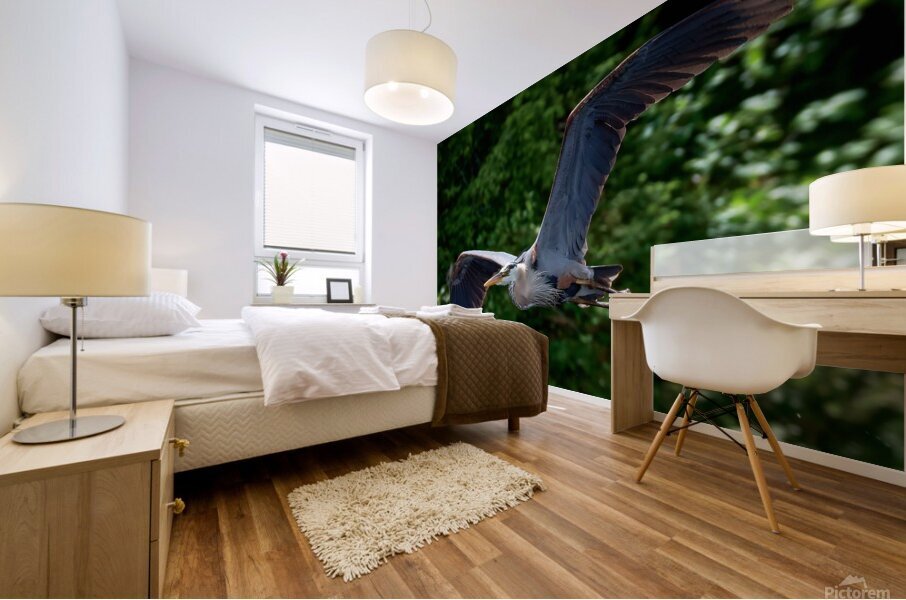 Bird Photography    Mural print