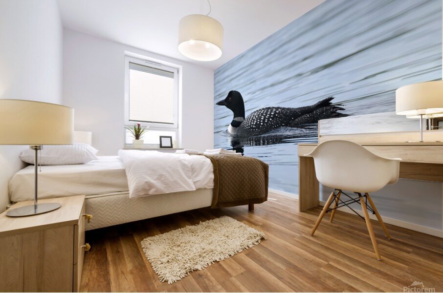 Bird Photography    Mural print