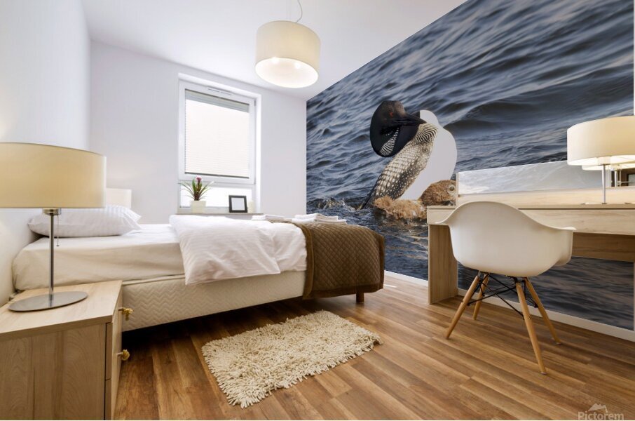 Bird Photography    Mural print