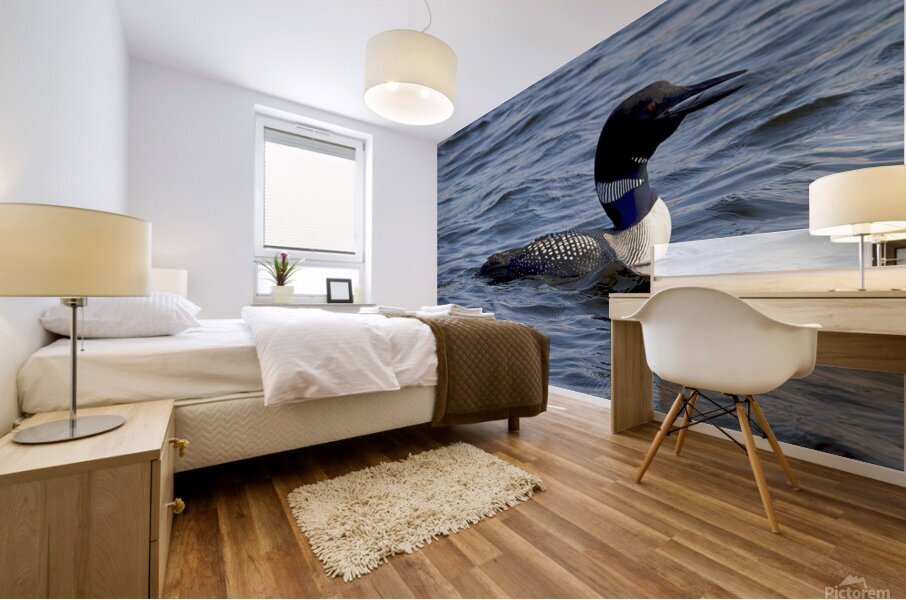 Bird Photography    Mural print