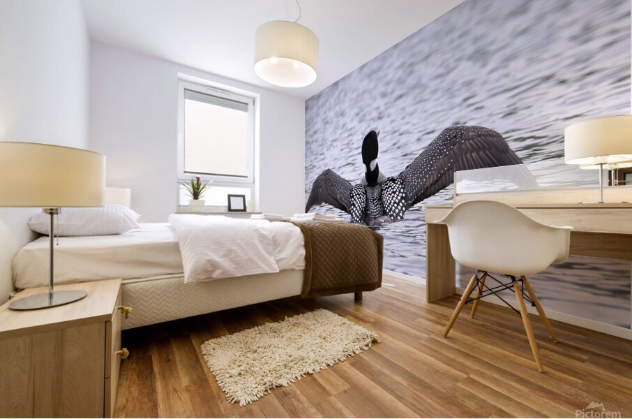 Bird Photography    Mural print