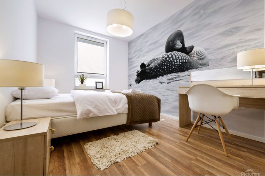 Bird Photography    Mural print