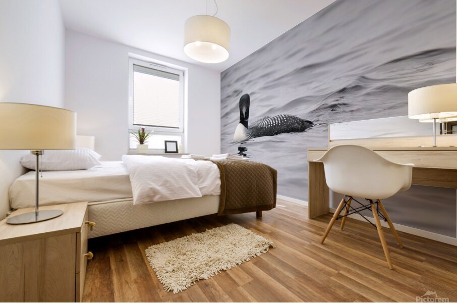 Bird Photography    Mural print