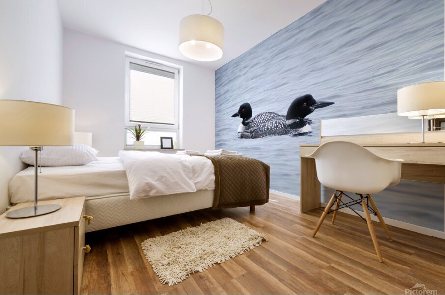 Bird Photography    Mural print