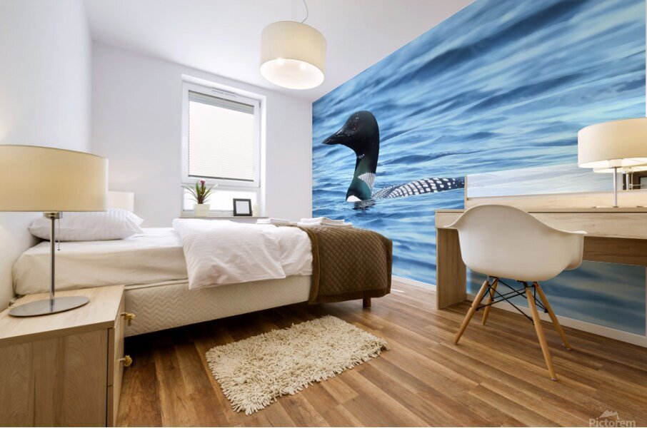 Bird Photography    Mural print