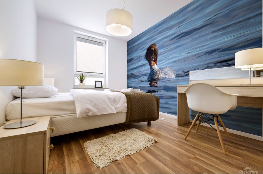Bird Photography    Mural print