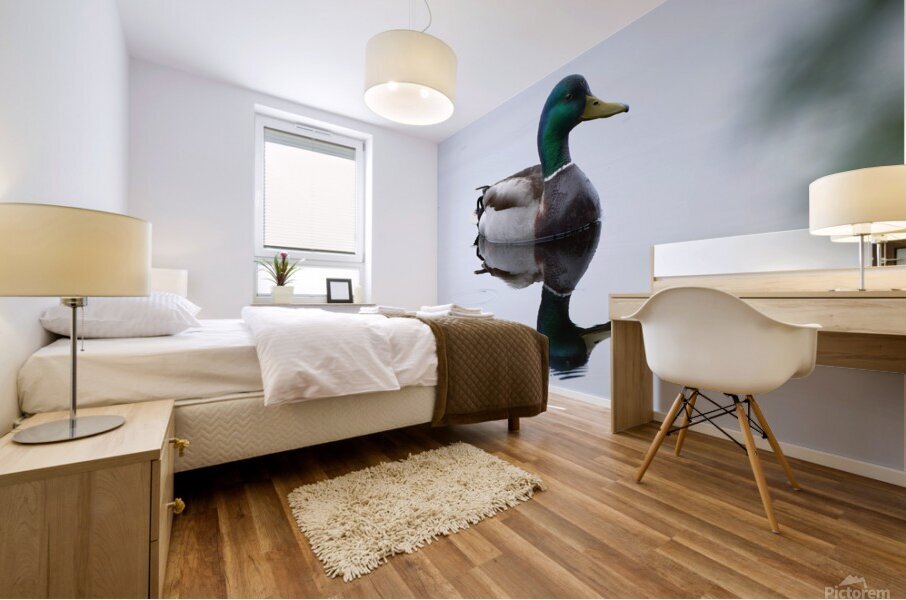 Bird Photography    Mural print