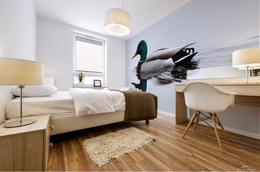 Bird Photography    Mural print