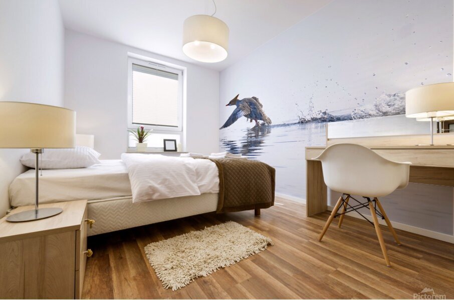 Bird Photography    Mural print