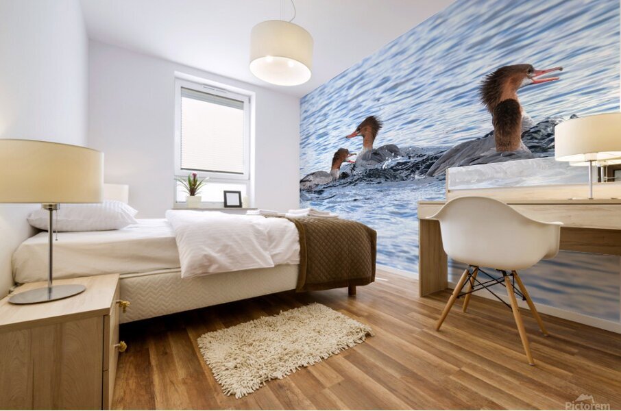 Bird Photography    Mural print